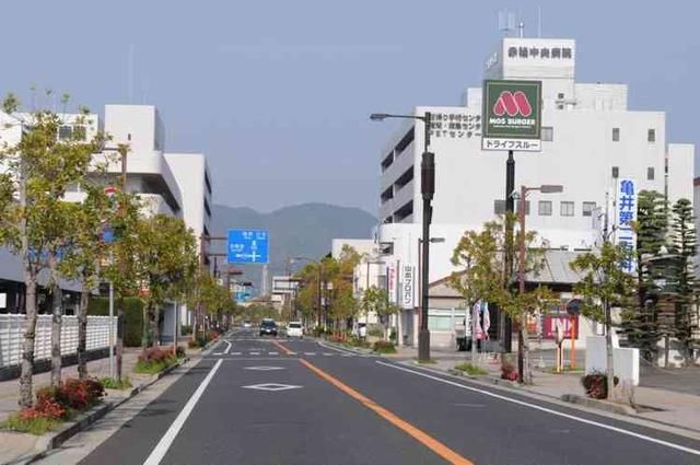 交通信号灯 交通信号灯